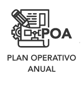 Plan Operativo Anual