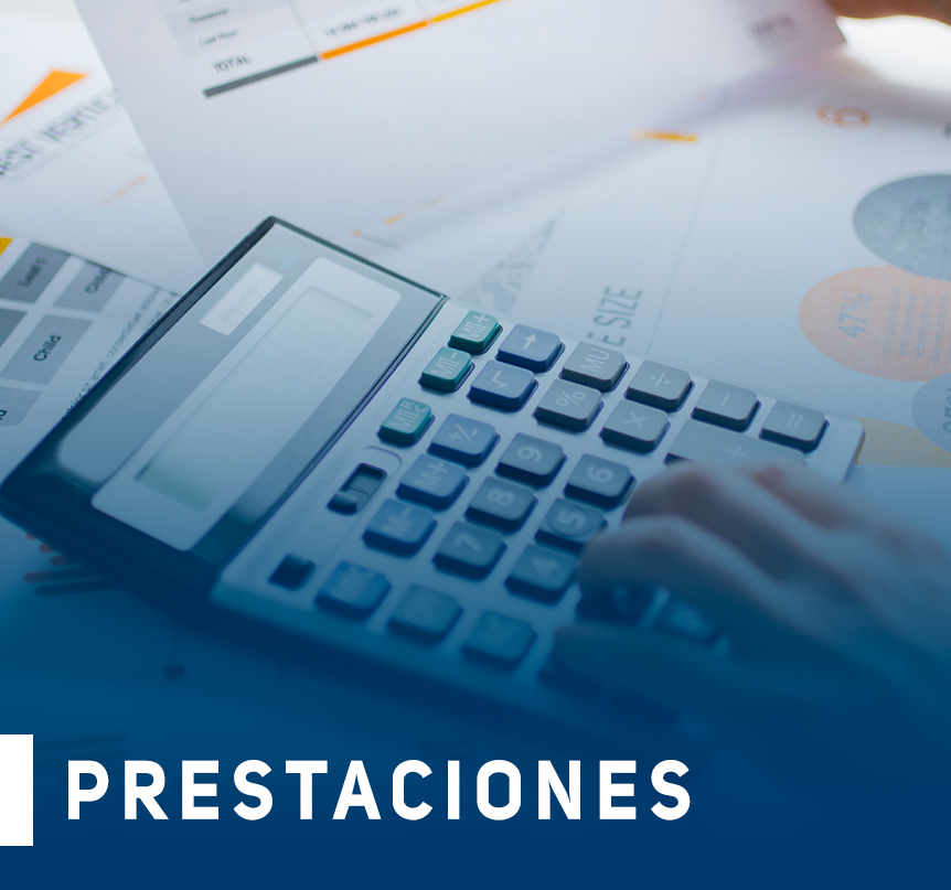 IMAGEN