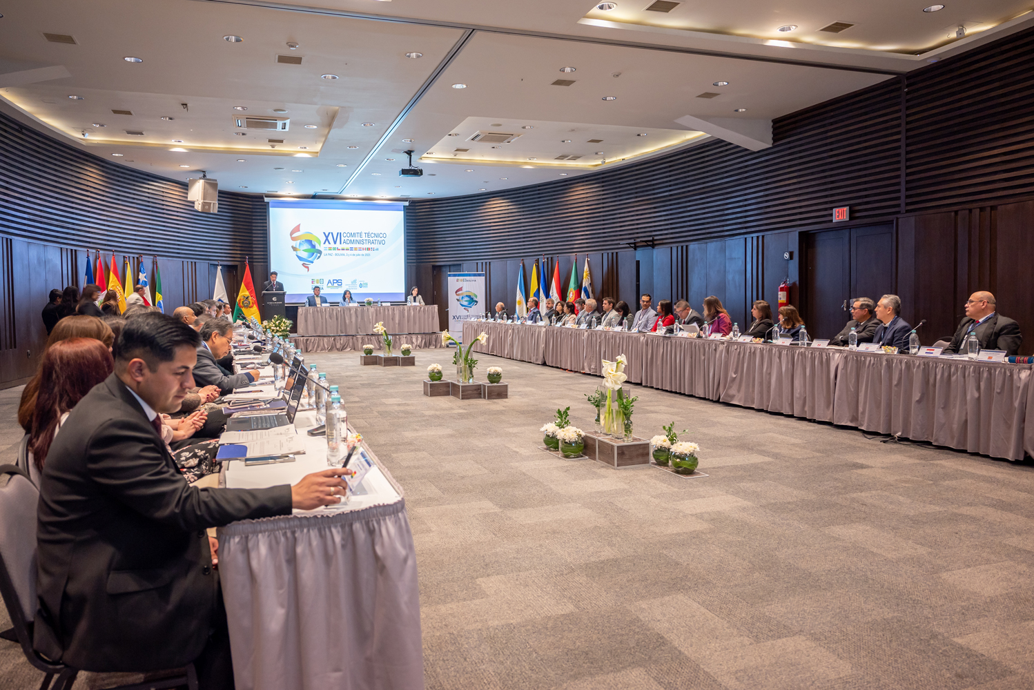 XVI-Reunion-del-Comite-Tecnico-Administrativo-de-CMISS-8.jpg